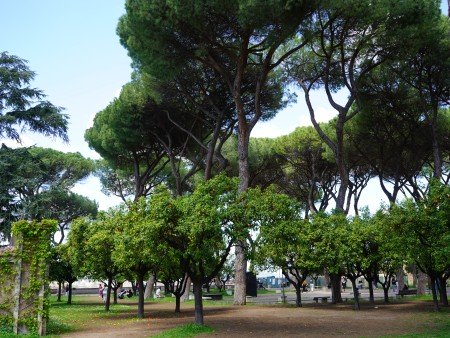 Parks and Gardens in Rome: best green spaces