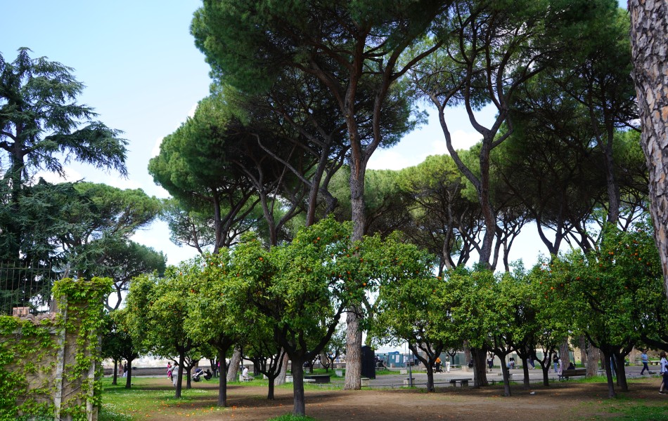 Parks and Gardens in Rome: best green spaces