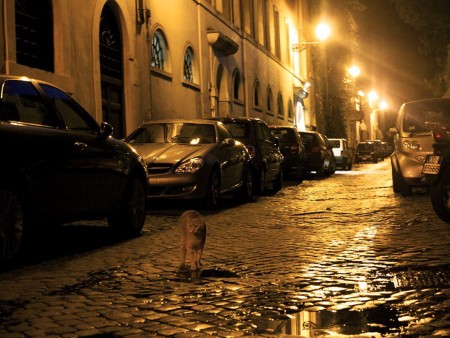 Which are the ghosts of Rome and in which streets can they be found?